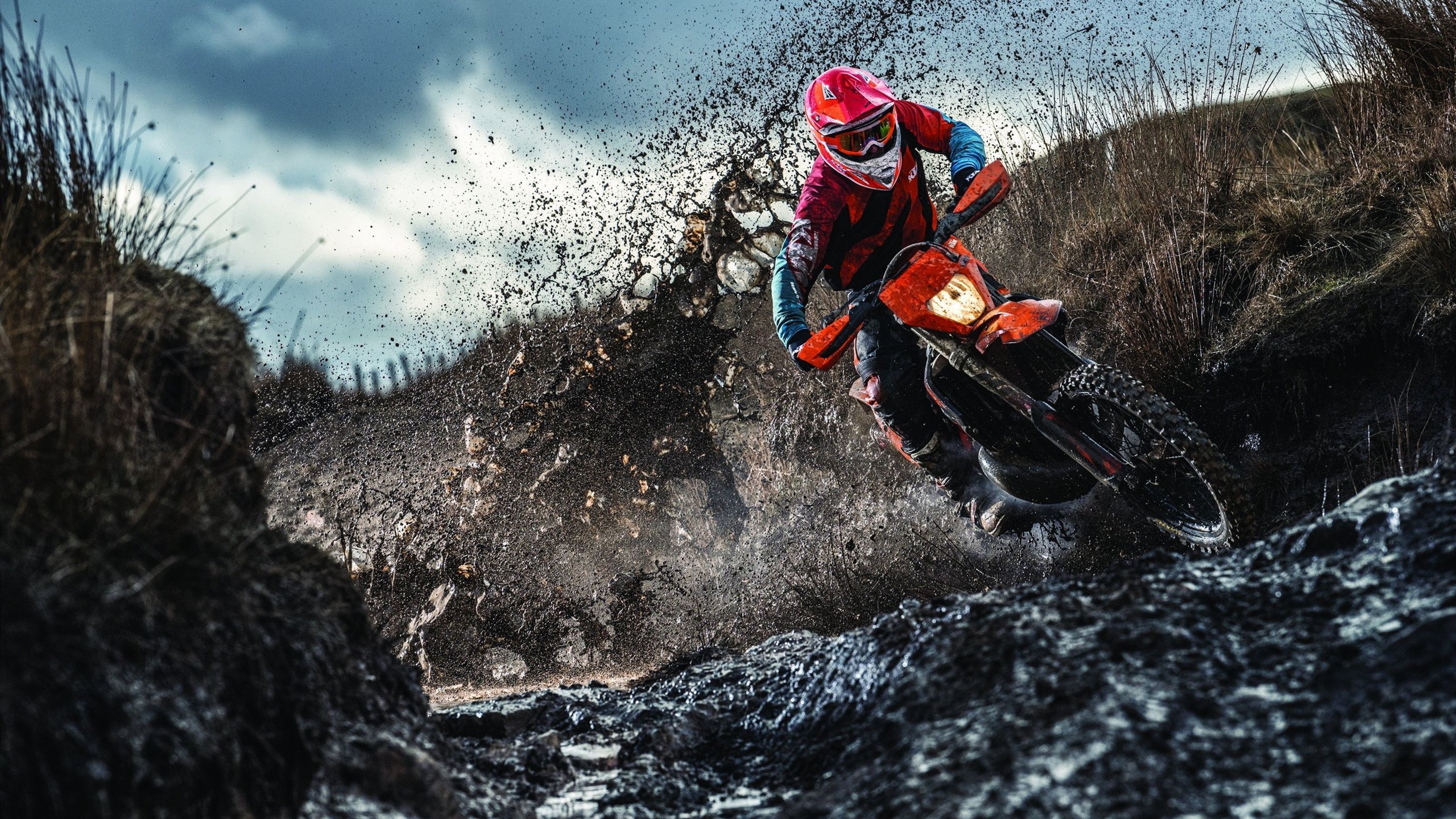 mk体育-世界杯技术裁判的培训体系，世界杯裁判是怎么安排