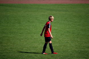 mk体育平台网页版入口-中国足球俱乐部青训营技术指导持续加强，中国足球青训机构